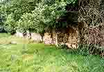 Des vestiges du mur de l'abbatiale vus de l'emplacement du clotre...