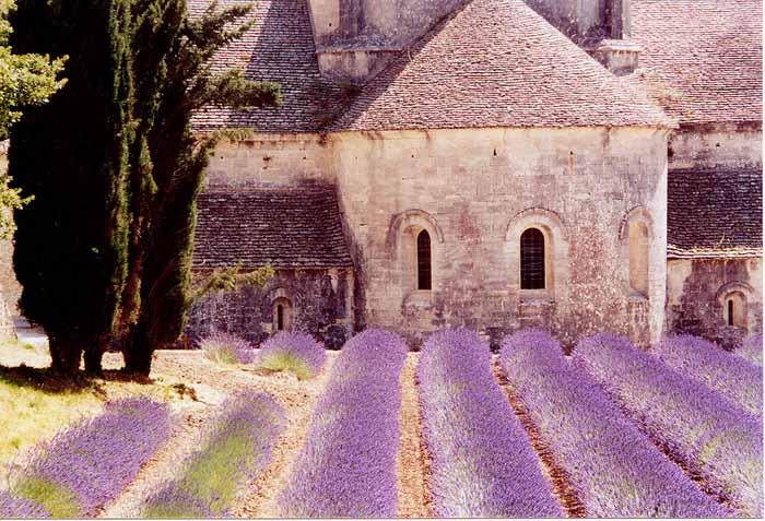 Le chevet de l'abbatiale.